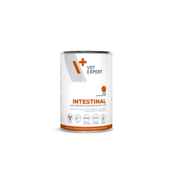 4T Vet. diet Intestinal dog 400g kons.