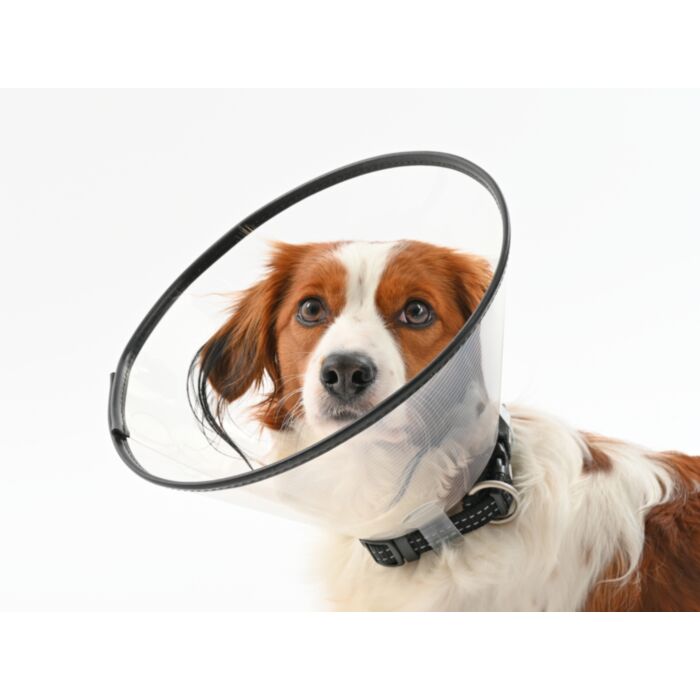 BUSTER COMFORT APYKAKLĖ 20cm 273904