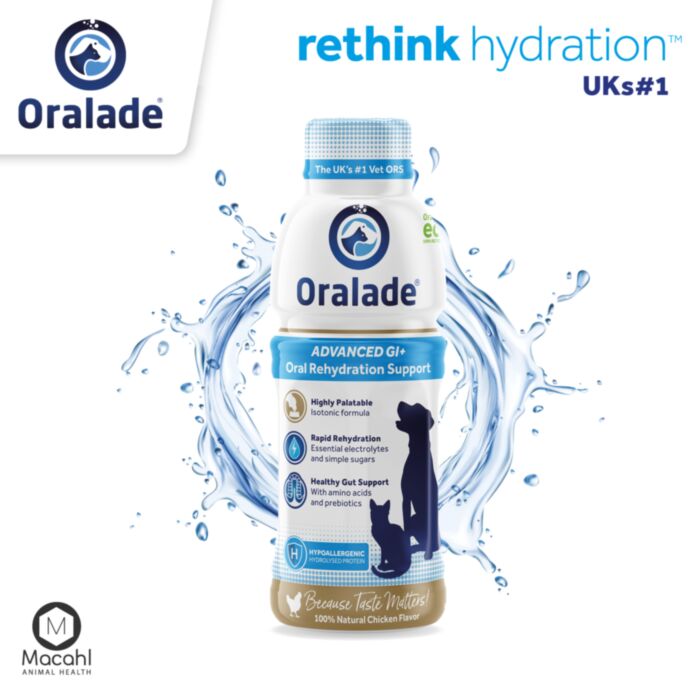 ORALADE GI izotoninis gėrimas 500ml