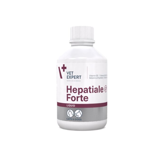 HEPATIALE FORTE Liquid 250ml