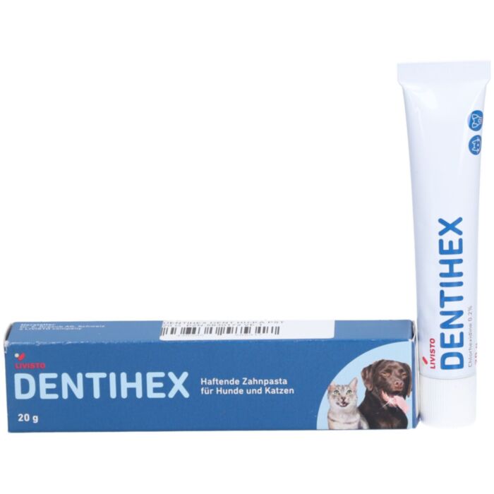 DENTIHEX dantenų gelis 20g