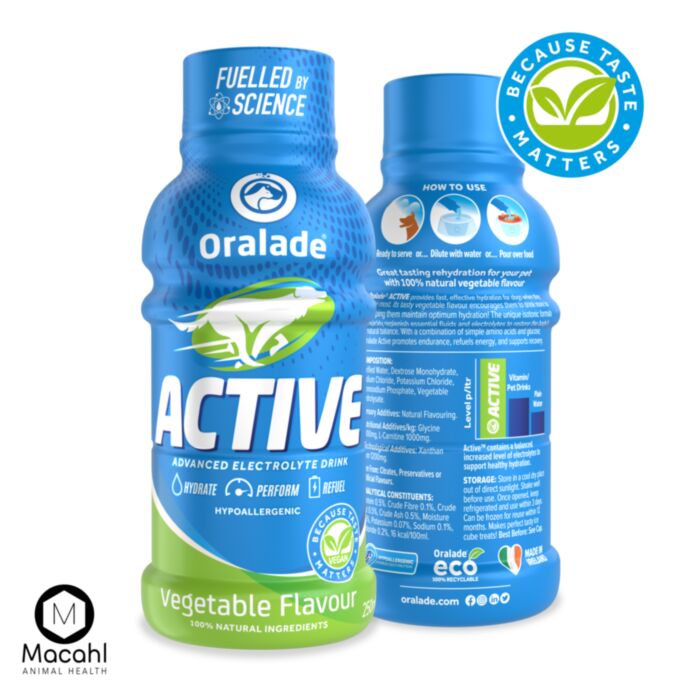 ORALADE ACTIVE DARŽOVIŲ SKONIO 250ml