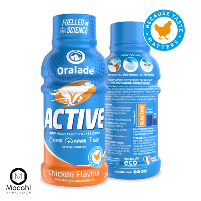 ORALADE ACTIVE VIŠTIENOS SKONIO 250ml