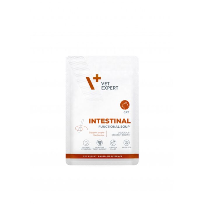 VetExpert Veterinary Diet Intestinal cat Functional Soup 40g pouch