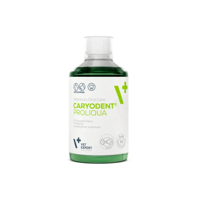 CARYODENT burnos ertmės skystis 250ml produkto nuotrauka 1