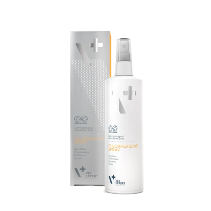 CHLORHEKSIDINE SPRAY 4% 100ml produkto nuotrauka 1