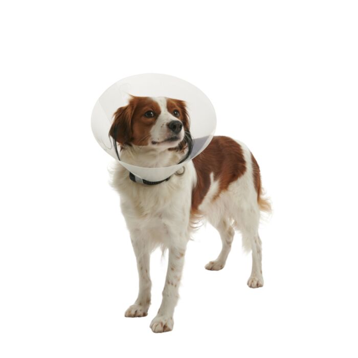 BUSTER CLIC APYKAKLĖ 20cm 273484