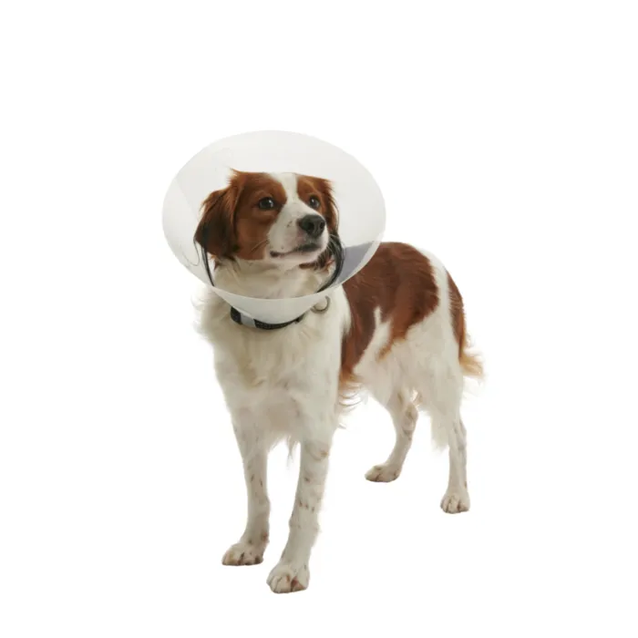 BUSTER CLIC APYKAKLĖ 20cm 273484 produkto nuotrauka 1