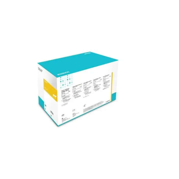 IDEXX SNAP Lepto test (10) / 99-29301 produkto nuotrauka 1