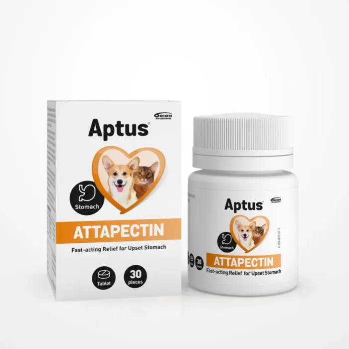 APTUS ATTAPECTIN tab. nuo viduriavimo N30 produkto nuotrauka 1
