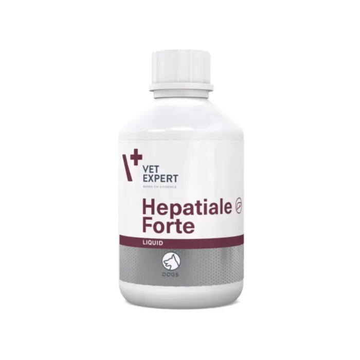HEPATIALE FORTE Liquid 250ml produkto nuotrauka 1