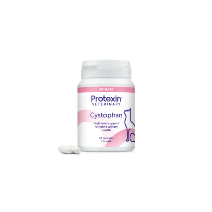PROTEXIN CYSTOPHAN N30