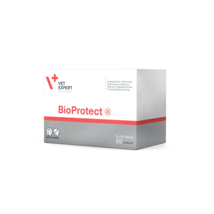 BIOPROTECT 200mg, 60 kaps. produkto nuotrauka 1