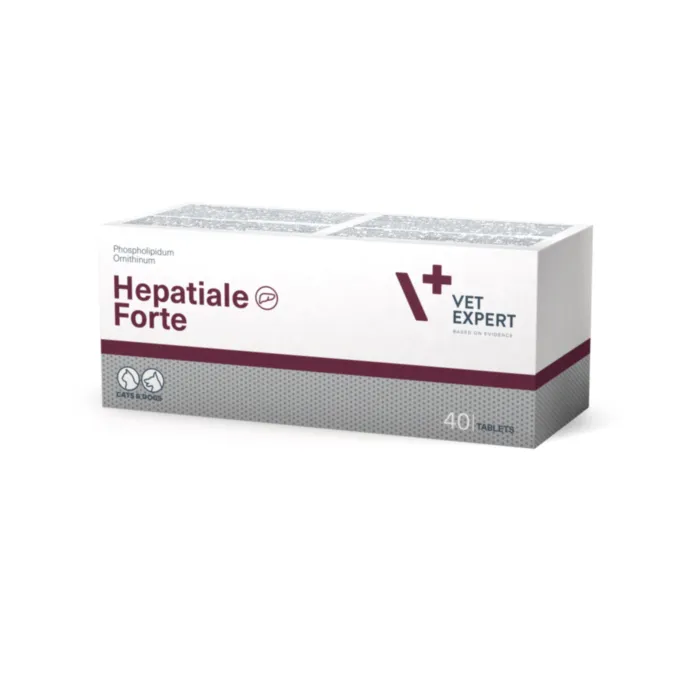HEPATIALE FORTE 300mg, 40 tab. produkto nuotrauka 1